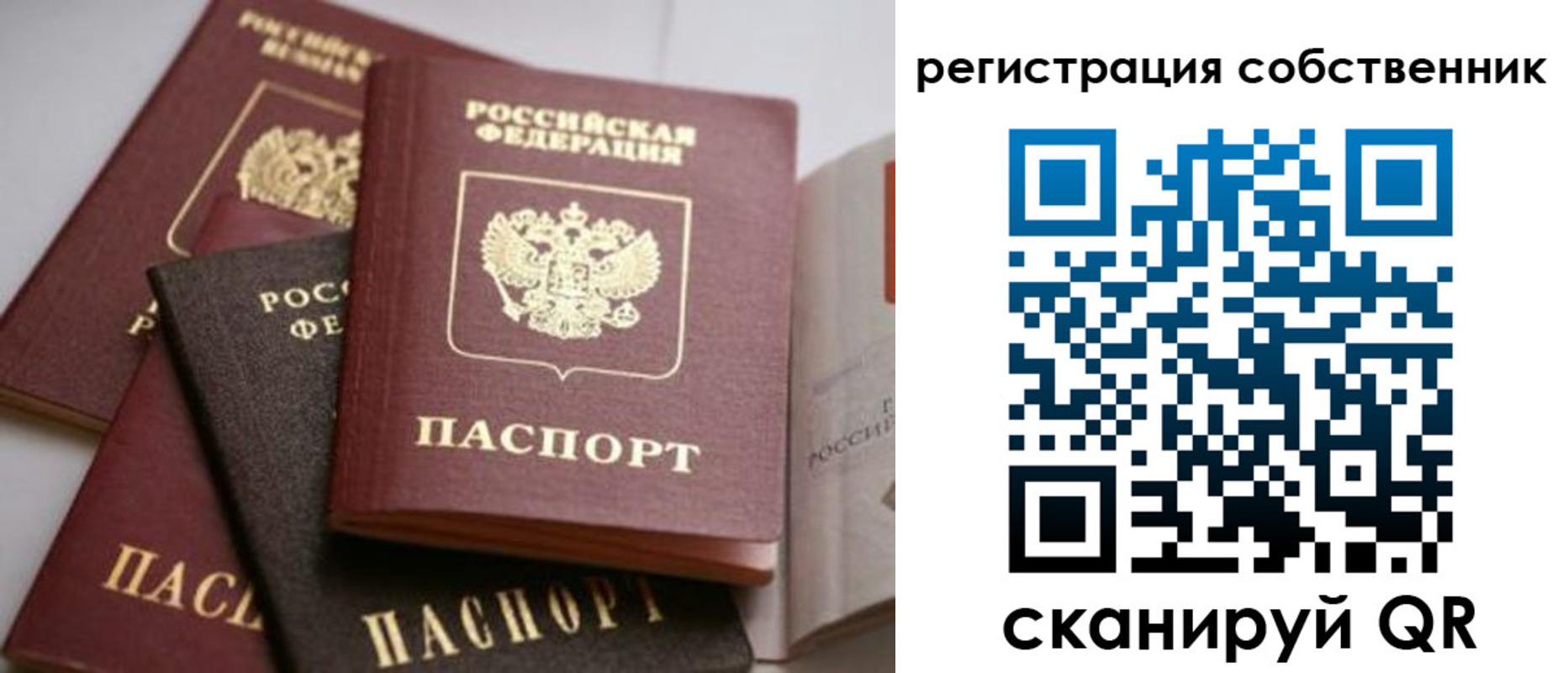 временная регистрация поиск в Балтийске